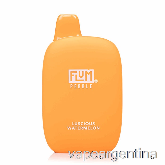 Flum Pebble 6000 Vape Desechable De Sandía Deliciosa Argentina